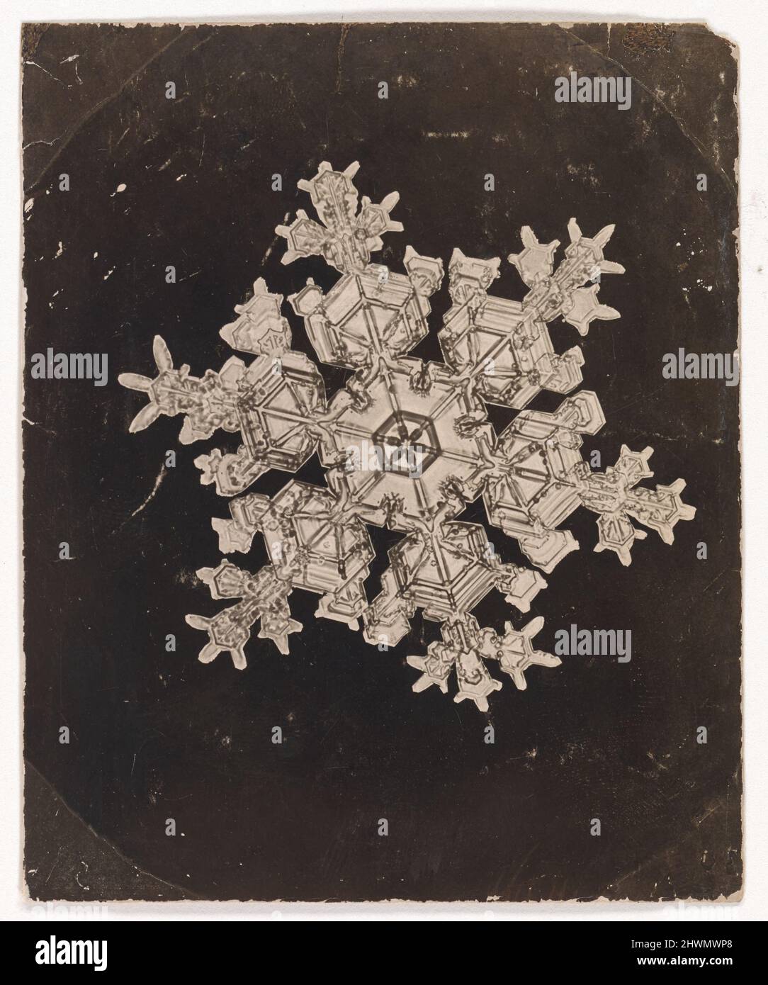 [Schneekristall]. Künstler: Wilson A. Bentley, Amerikaner, 1865–1931 Stockfoto