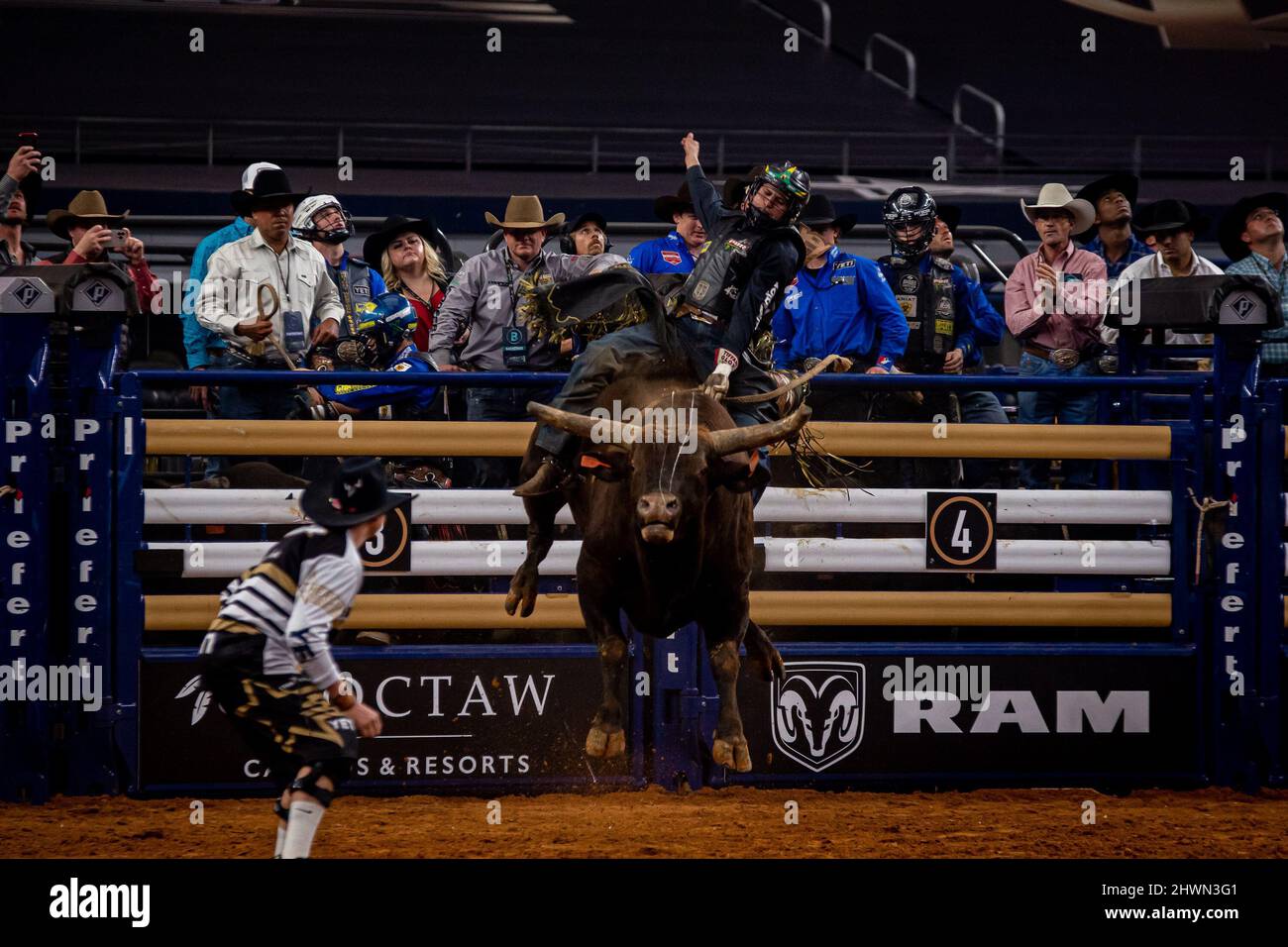 Arlington, TX, Arlington, TX, USA. 6. März 2022. Arlington TX - März 06: Dener Young fährt 617 Scarry Larry für 79,50 Punkte während des American Rodeo in der AT&T Arena in Arlington, Texas, USA. (Bild: © Matt Davies/PX Imagens via ZUMA Press Wire) Bild: ZUMA Press, Inc./Alamy Live News Stockfoto