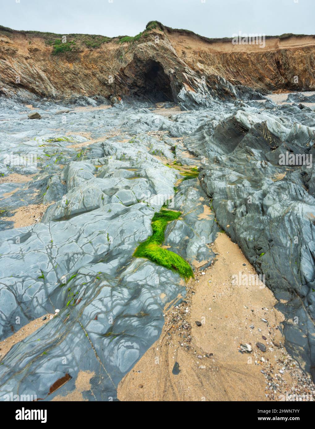 Dramatic National Trust, unberührte Strandbucht, interessante Felsformationen, am Fuße der Halbinsel Lizard, benannt nach den Silberdollar, die haben Stockfoto