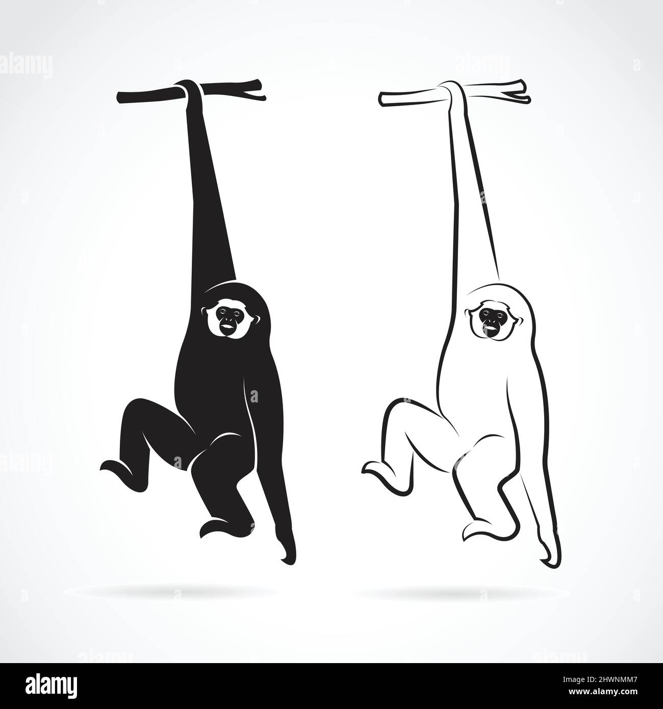Vektor eines Gibbons auf weißem Hintergrund. Wilde Tiere. Leicht editierbare Vektorgrafik mit Ebenen. Stock Vektor