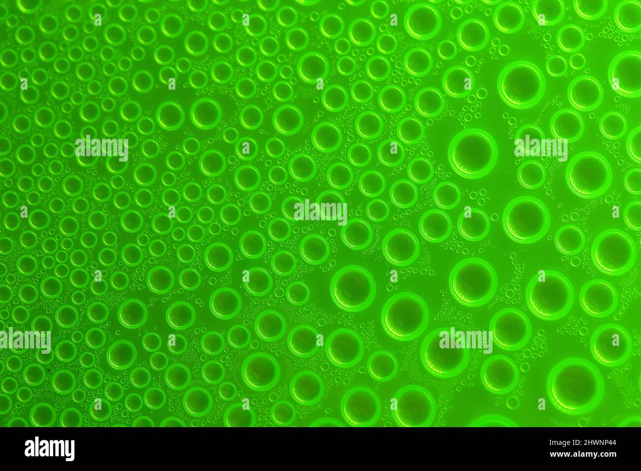 Bubbles grünen Hintergrund.Wallpaper Telefon.Abstrakten Hintergrund mit Tropfen in grünen Tönen. Wasser Blasen und Tropfen Textur. Grüne Kreise Muster Stockfoto