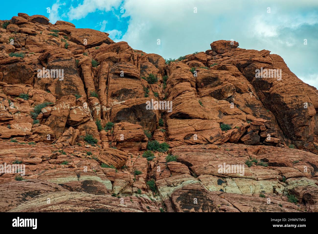 Gestreifte Felsen der Calico Hills im Red Rock Canyon National Conservation Area, Nevada, USA Stockfoto