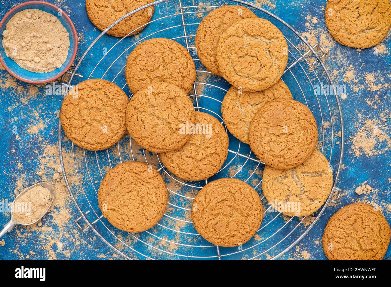 Hausgemachte Ingwer-Kekse und Ingwer-Pulver auf blauem Hintergrund Stockfoto