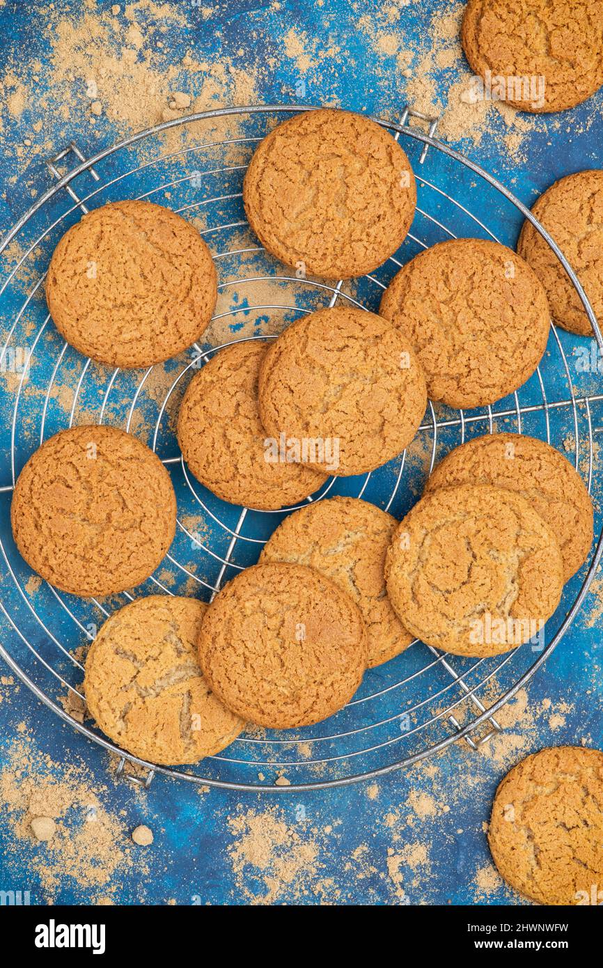 Hausgemachte Ingwer-Kekse und Ingwer-Pulver auf blauem Hintergrund Stockfoto