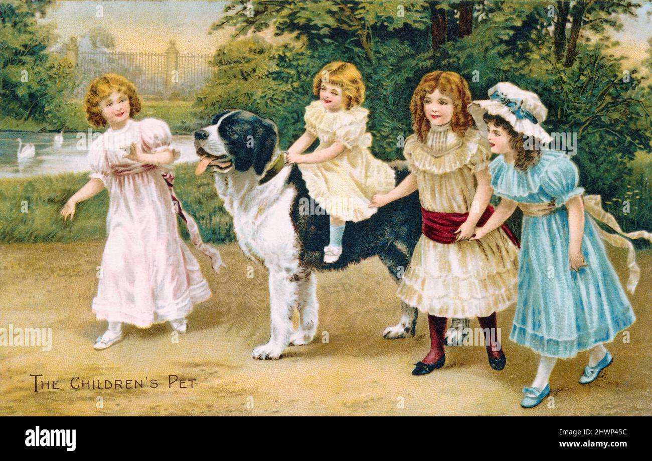 Alte edwardianische Postkarte mit dem Titel „The Children's Pet“, auf der vier Mädchen und ein Bernhardiner-Hund zu sehen sind. Stockfoto
