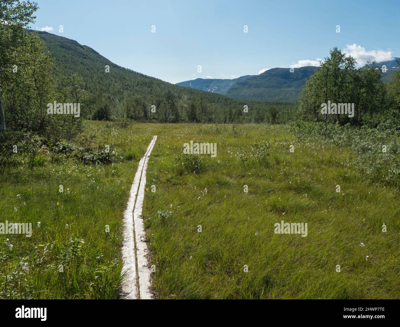 Auf dem Padjelantaleden-Wanderweg führt ein Weg mit dem Brett in die nördliche arktische Landschaft, die Tundra in Schwedisch Lappland mit grünen Hügeln, Bergen und Birken Stockfoto