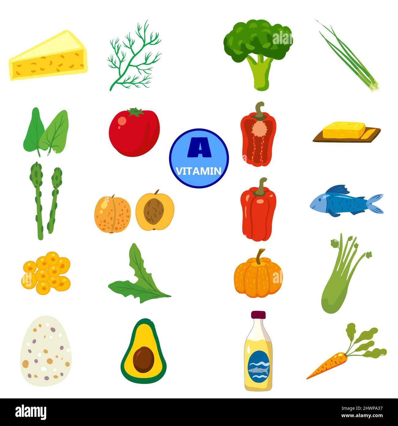 Set von Vitamin A Herkunft natürlichen Quellen. Gesunde Ernährung, Obst, Gemüse, Fisch. Bio-Diät-Produkte, natürliche Ernährung Sammlung Stock Vektor
