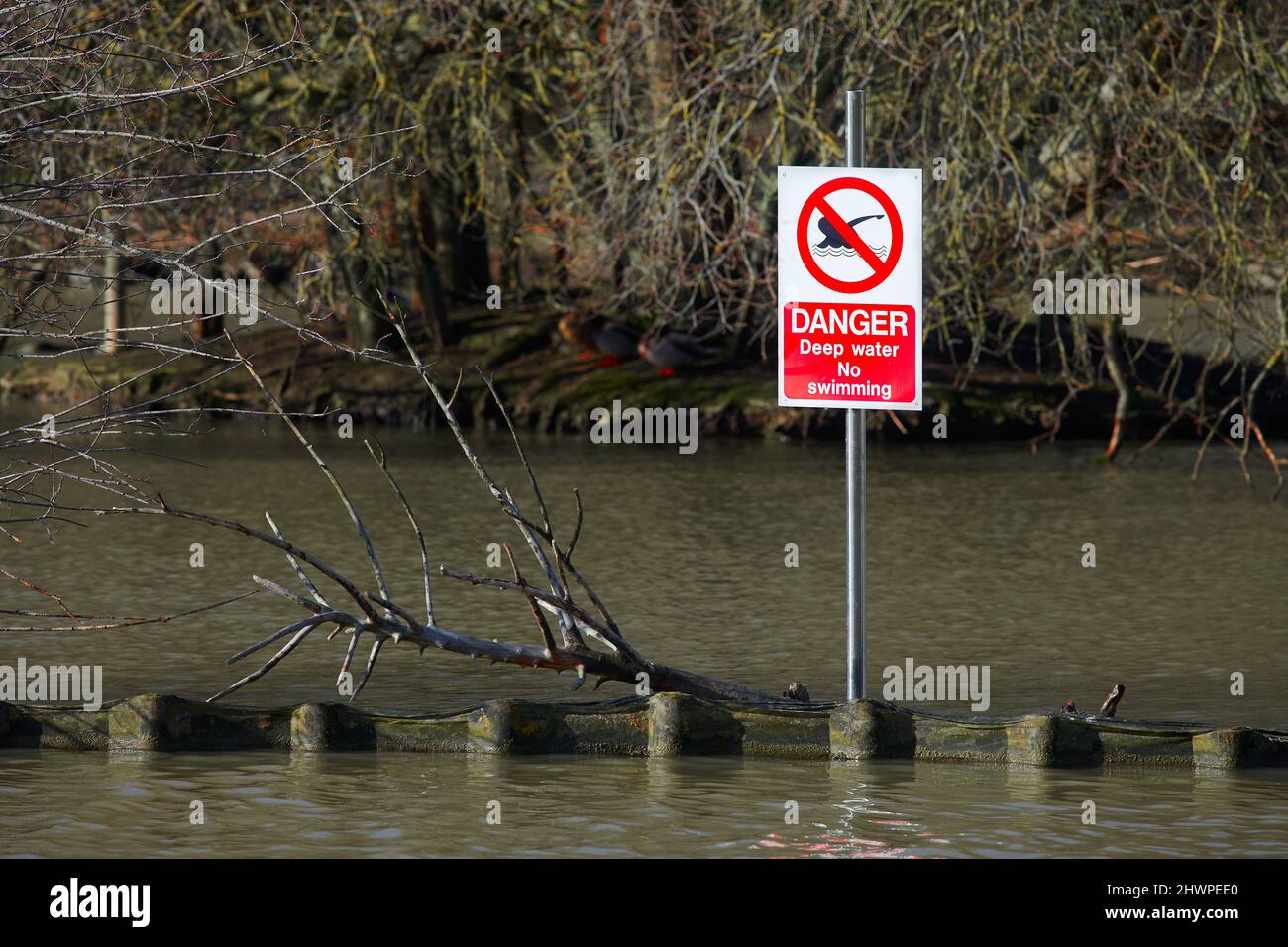 Schild „Gefahr, tiefes Wasser, kein Schwimmen“ im See bei Corby, England, an einem Wintertag. Stockfoto