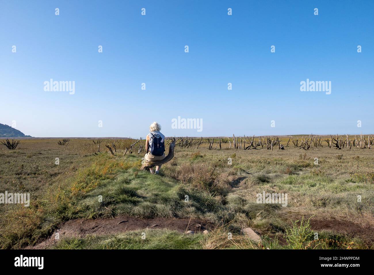 Großbritannien, England, Somerset, Porlock Marsh. Eine Frau, die nachdenklich ist, sitzt und schaut in die Ferne auf Salzmarschen am Meer. Stockfoto