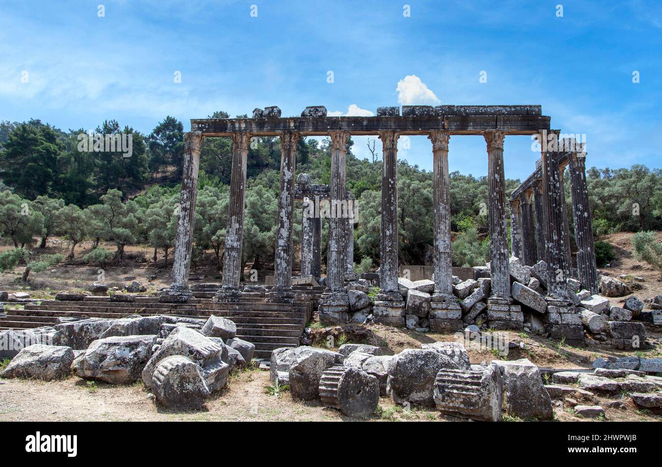 Tempel des Zeus Lepsinos Euromus, Milas, Bodrum, Mugla, Türkei. Stockfoto