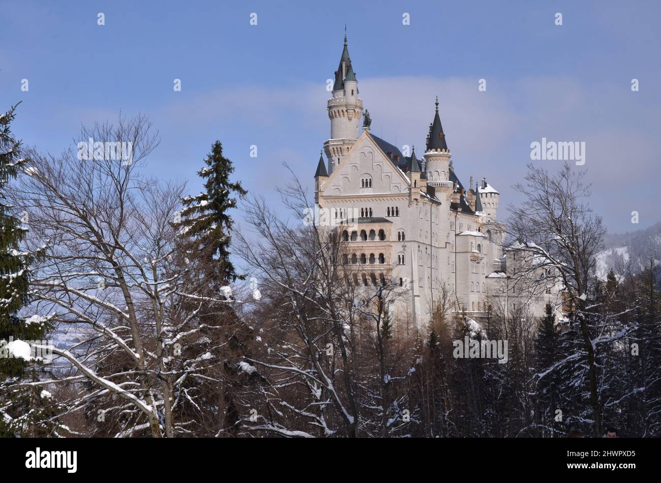 DEUTSCHLAND, Bayern, Schwangau, Hohenschwangau, Neuschwanstein und Umgebung unter dem Schnee Stockfoto