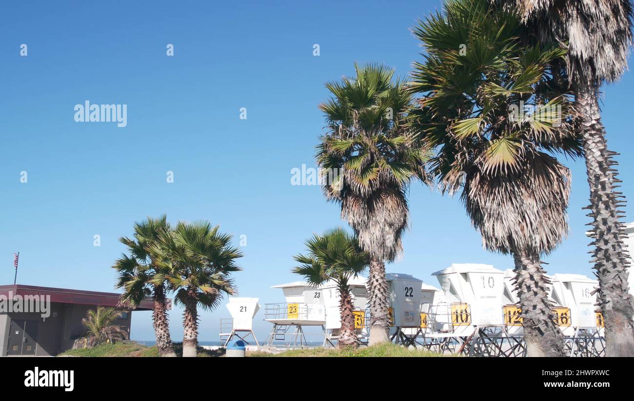 Rettungsschwimmerstand und Palme, Rettungsschwimmerturm zum Surfen am kalifornischen Strand. Sommer pazifik in den USA. Rettungsstation, Küstenretter Wachtower Hütte oder Haus auf See. Nahtloser Cinemagraph mit Schleife Stockfoto