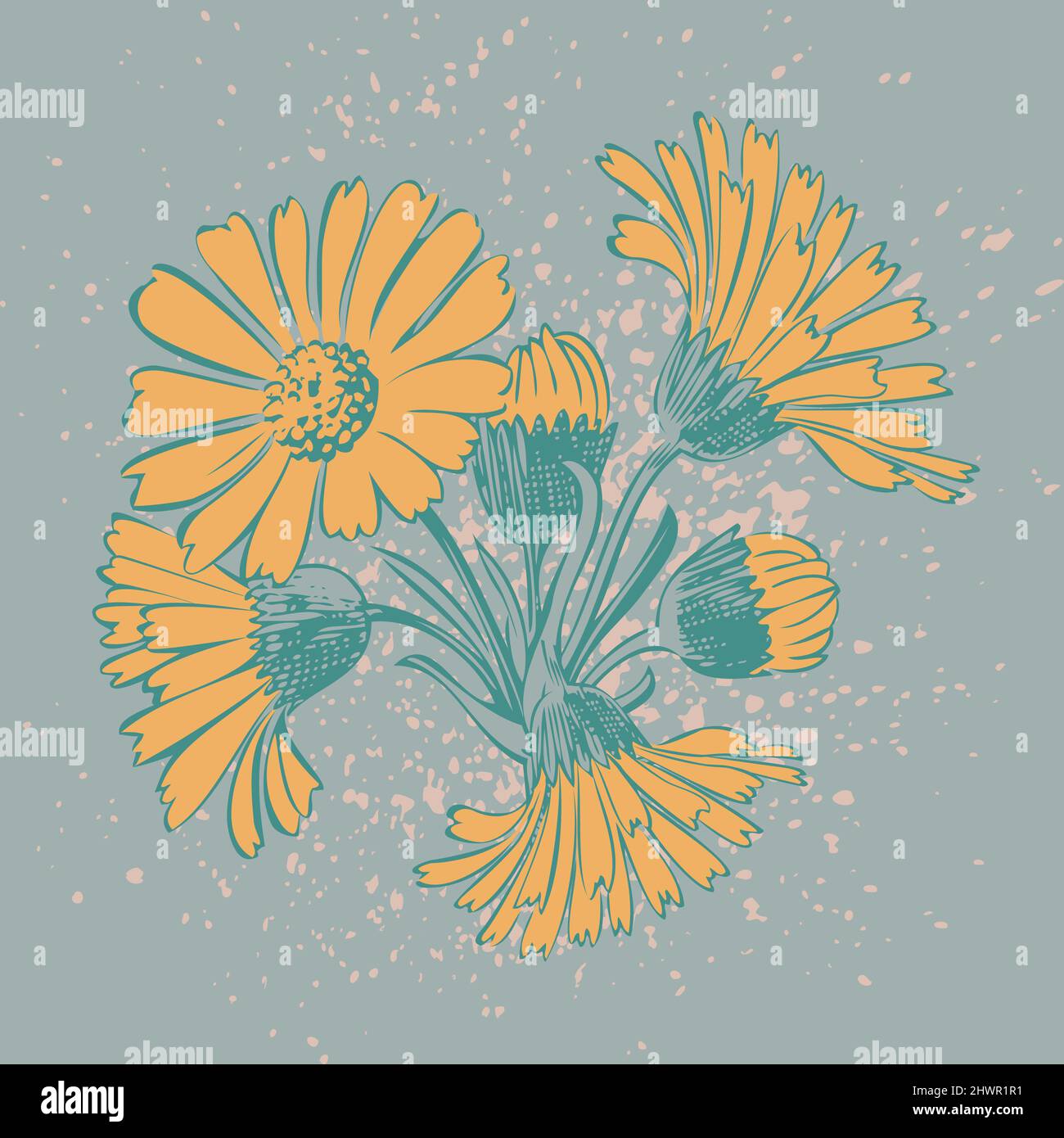 Attraktiv arrangierte Blumenstrauß. Gezeichnete Chrysanthemum Blumen künstlerische Vektor-Illustration. Blumen botanische Hochzeit Ornament trendige Muster des Stock Vektor