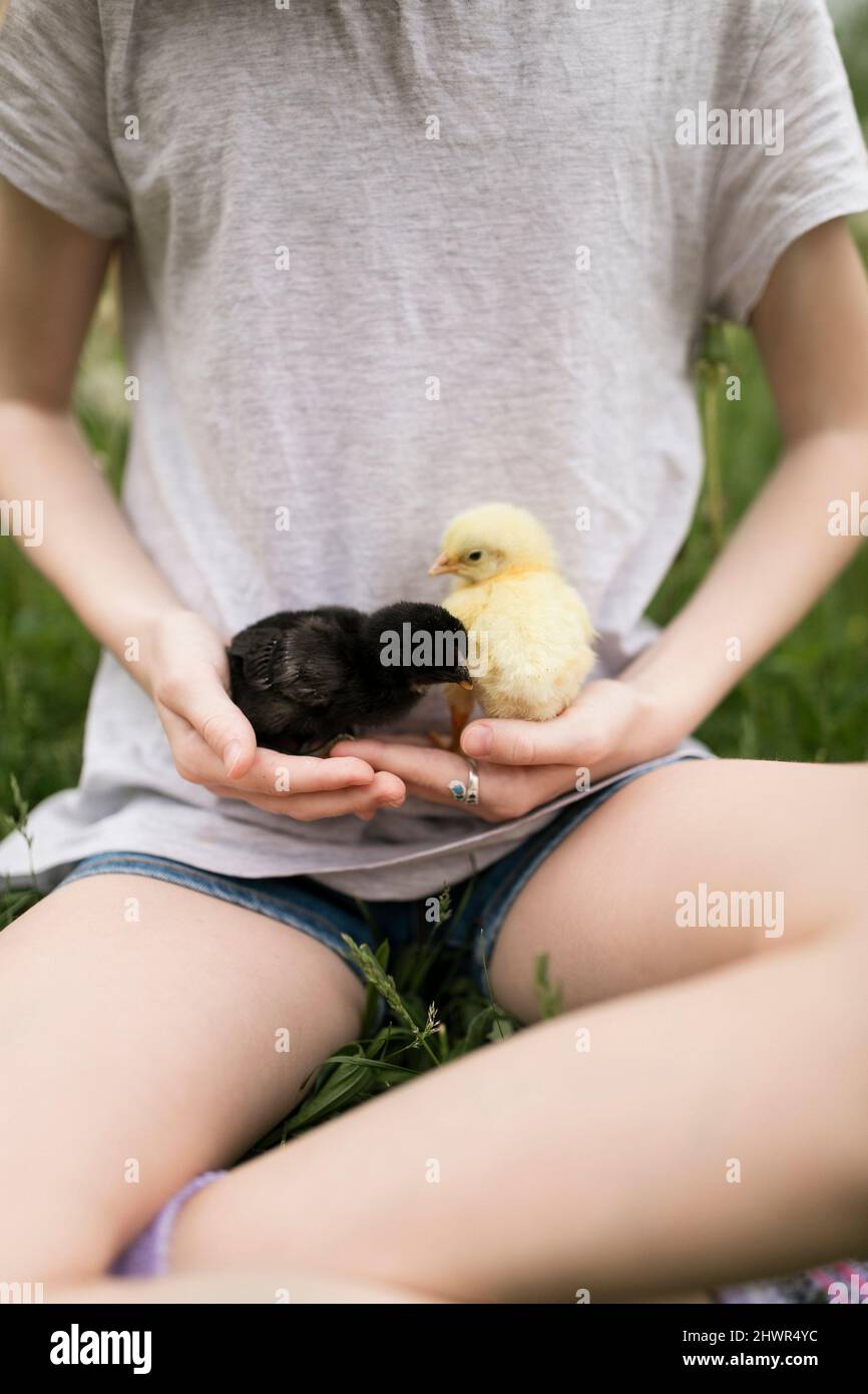 Mädchen mit kleinen Hühnern auf dem Bauernhof Stockfoto