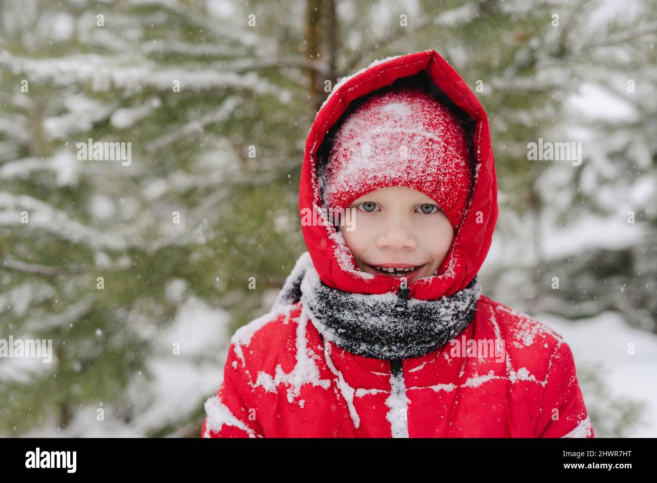 Fröhlicher Junge mit Schnee auf Strickmütze und warmer Kleidung im Wald Stockfoto