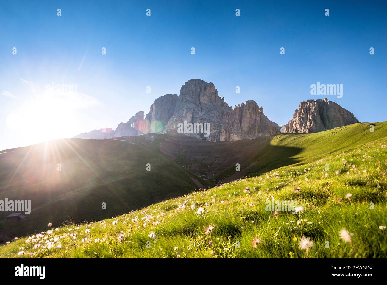 Italien, Südtirol, Almwiese bei Sommeruntergang mit Langkofel- und Plattkofel-Bergen im Hintergrund Stockfoto