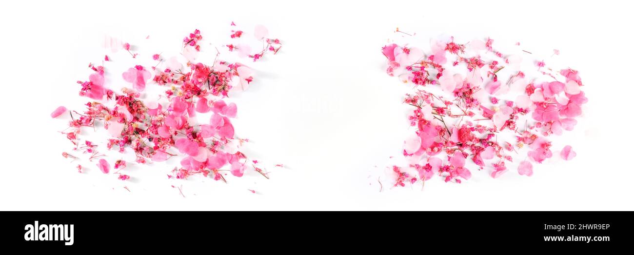 Valentinstag-Panorama mit einem Rahmen aus rosa Herzen und Blumen Konfetti, eine flache Lage Panorama-Banner auf einem weißen Hintergrund mit Kopierraum Stockfoto