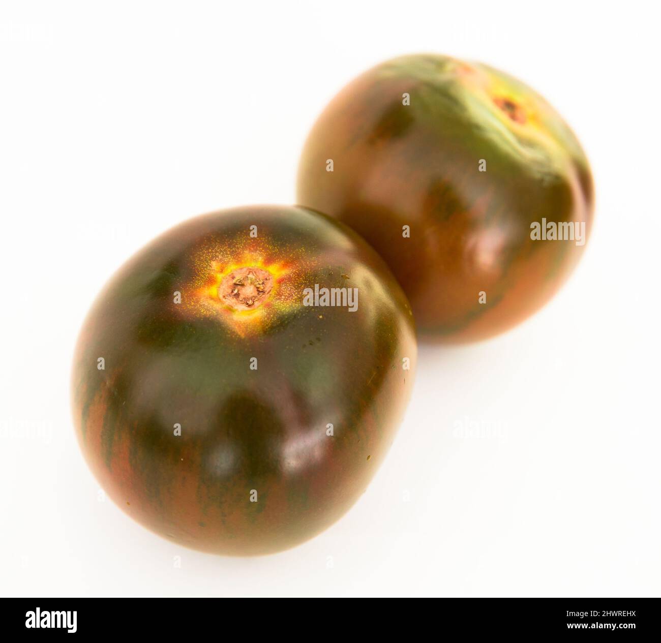 Reife schwarze Tomaten auf weißem Hintergrund Stockfoto