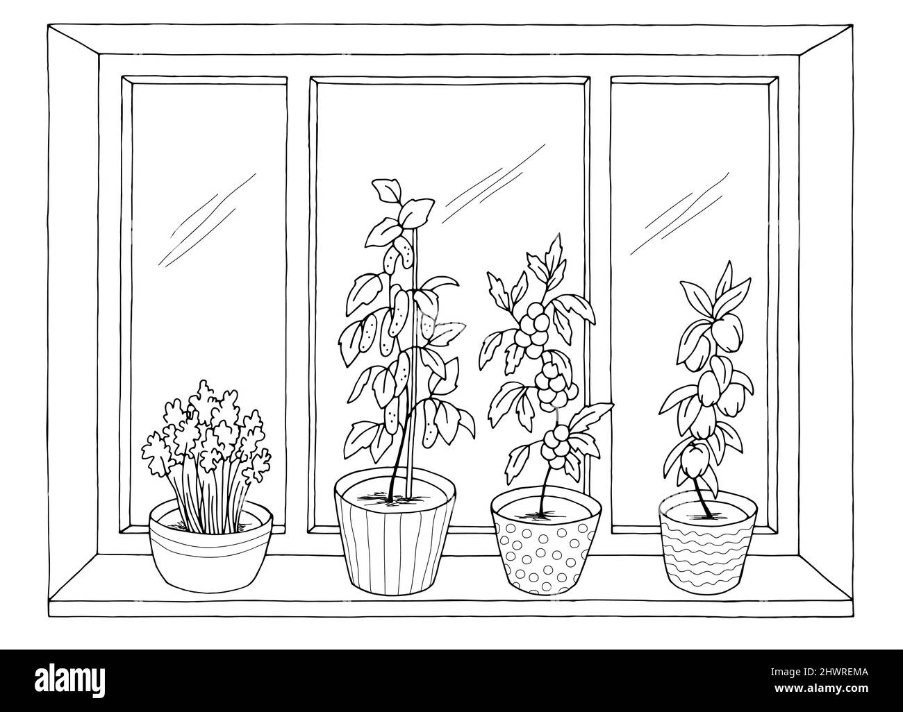 Fenster Gemüsegarten Grafik schwarz weiß Innenraum Skizze Illustration Vektor Stock Vektor