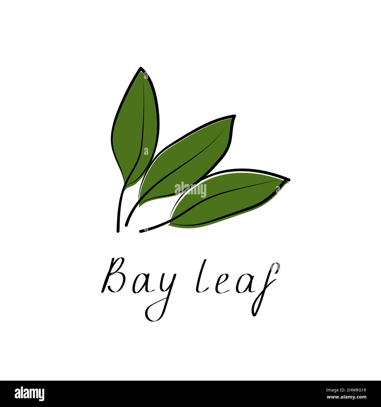 Lorbeerblatt logo Stock-Vektorgrafiken kaufen - Alamy