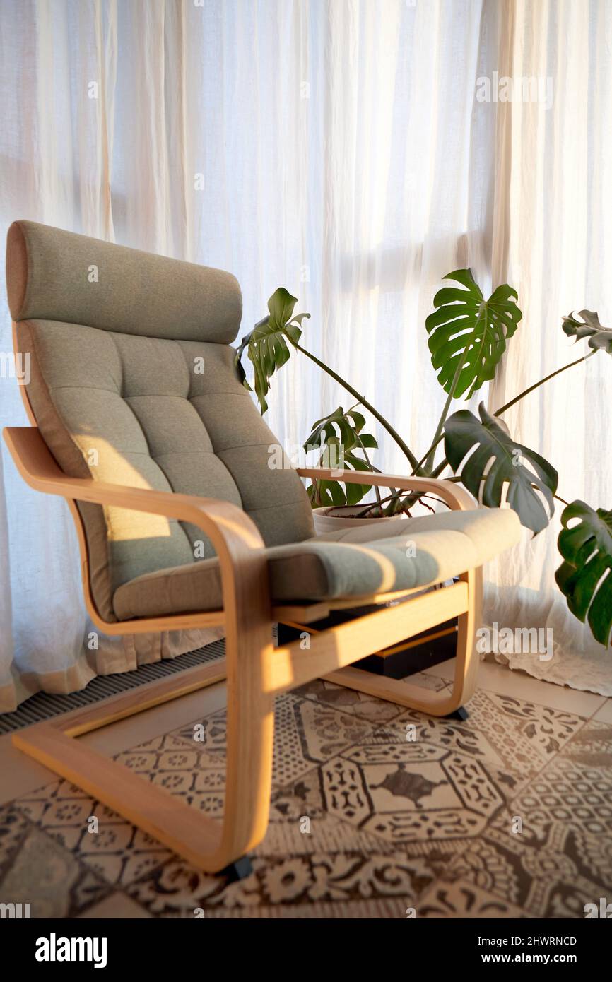 Bequemer Schaukelstuhl aus Holz mit weichen grauen Sitz auf gemütlichen Raum in der Nähe von Topfpflanze Monstera deliciosa im Sonnenlicht platziert Stockfoto