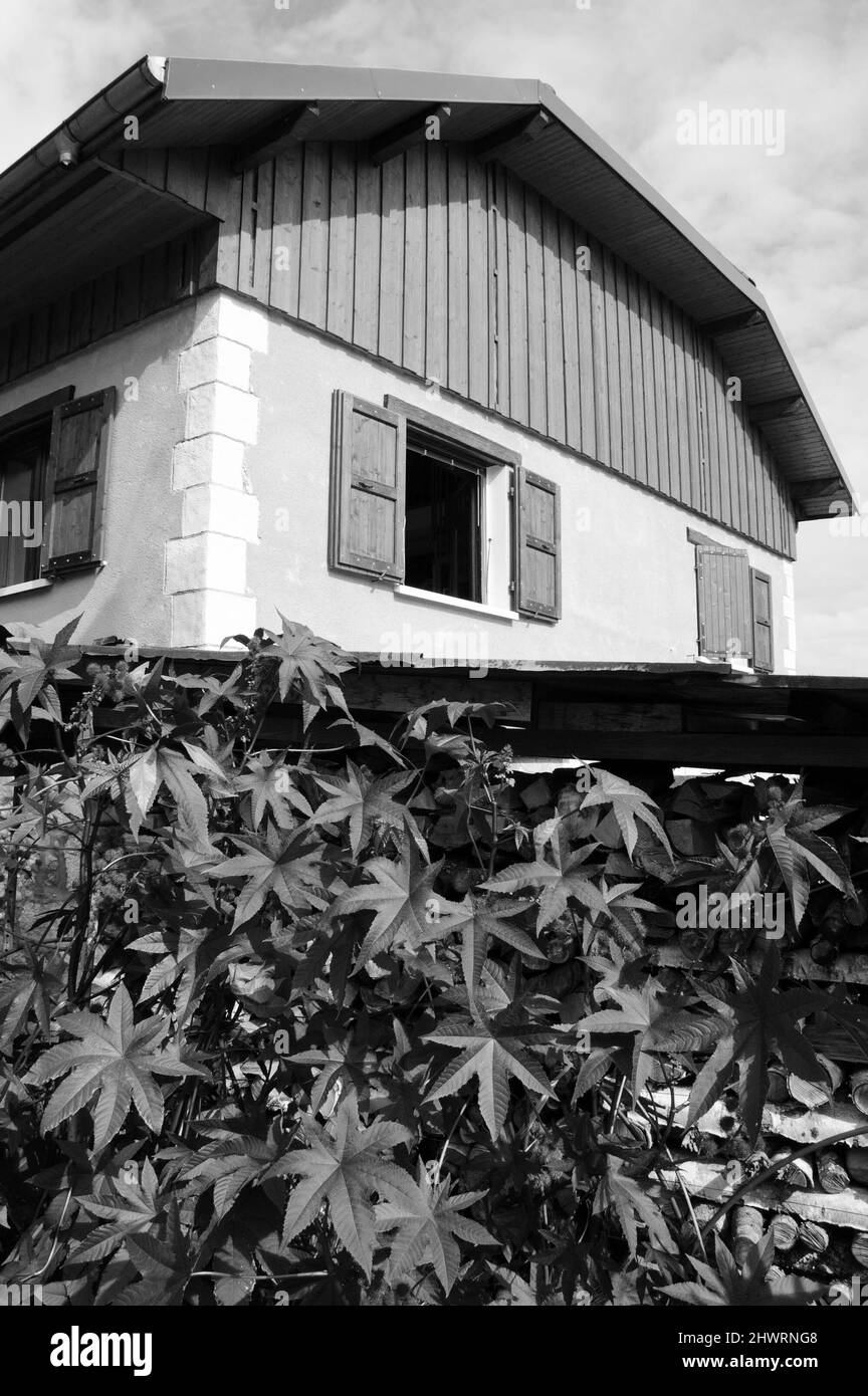 Ländliches Haus mit Holzstapel draußen. Frankreich. Vorbereitung auf die Wintersaison im Sommer, Heizung mit Holzlösung, Holzofen. Schwarzweiß Stockfoto
