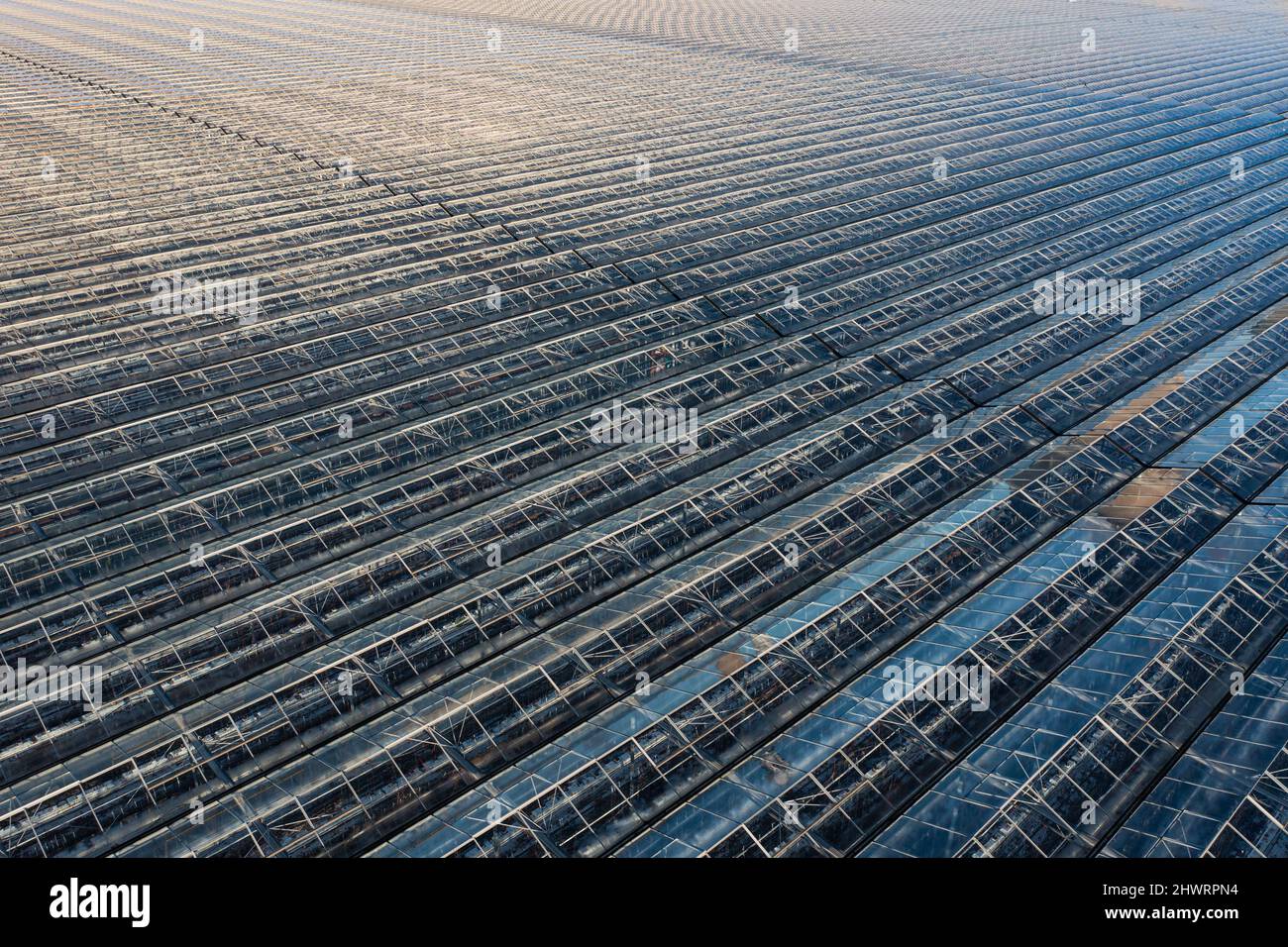 Luftaufnahme der riesigen Menge an Gewächshäusern, die bei der Lebensmittelproduktion von Salat in Drax in Yorkshire mit überschüssiger Wärme aus dem Kraftwerk Drax verwendet werden Stockfoto