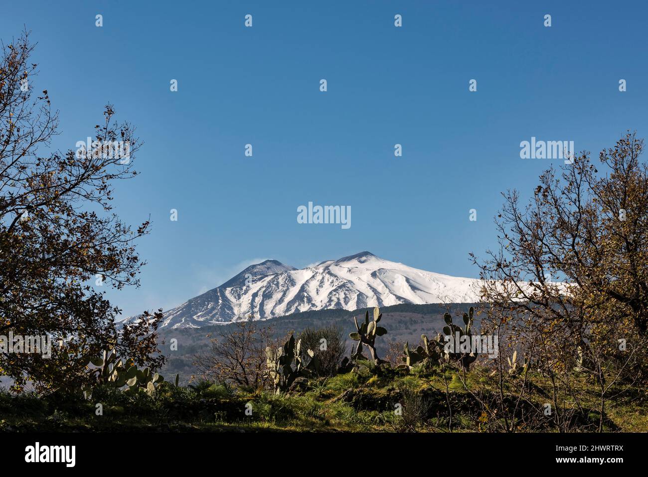 Blick auf den Ätna im Spätswinter, von außerhalb der Stadt Linguaglossa im Nordosten des Vulkans gesehen (Sizilien, Italien) Stockfoto