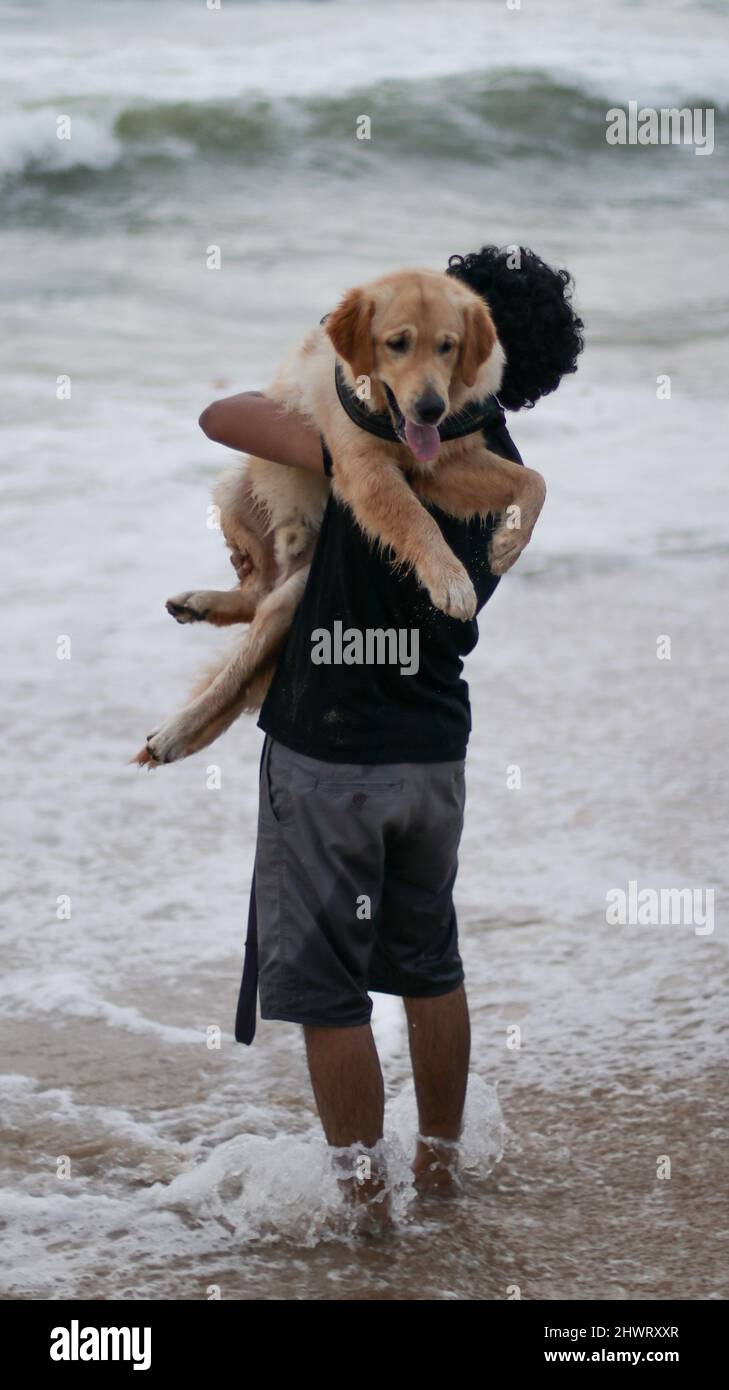 golden Retriever Hund, der Angst hat, dass die Strandwellen von seiner Person aufgenommen und an einem bewölkten Abend zum Strand gebracht werden Stockfoto