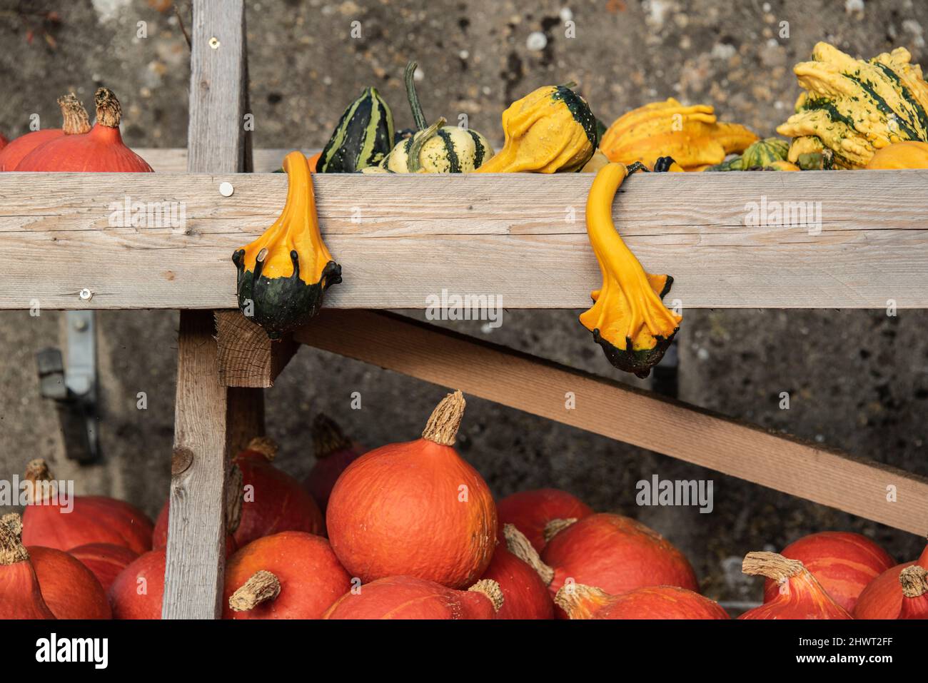 Bunte Squashes, die an einem hölzernen Marktstand zum Verkauf angeboten werden Stockfoto