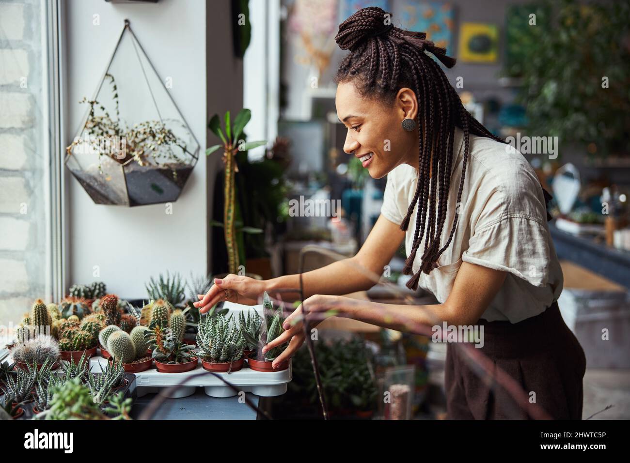 Freudiger Florist, der sich über eingetopfte Sukkulenten im Tablett des Baumgartens lehnt Stockfoto