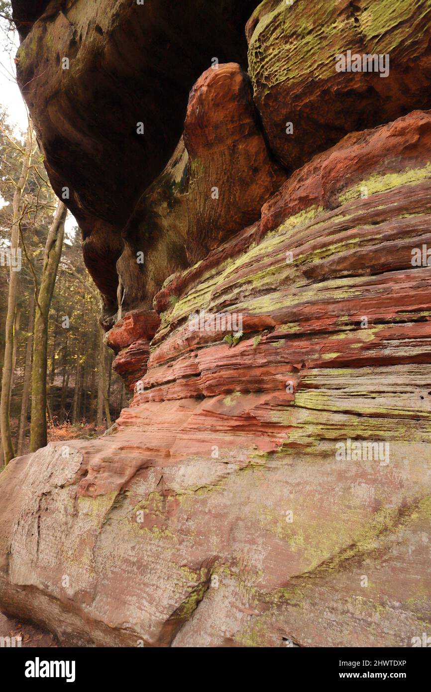 Ein farbenfroher Sandsteinfelsen als Hintergrund Stockfoto