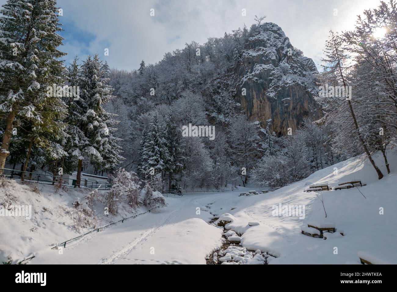 Verschneite Lichtung in Brasov Stockfoto