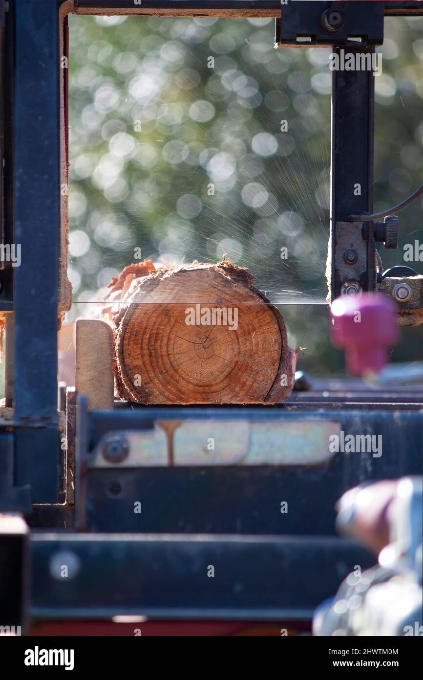 Baumstamm in Sägemehl gewickelt, während er in Balken verwandelt wurde. Präzisionsarbeit im mobilen Sägewerk. Stockfoto