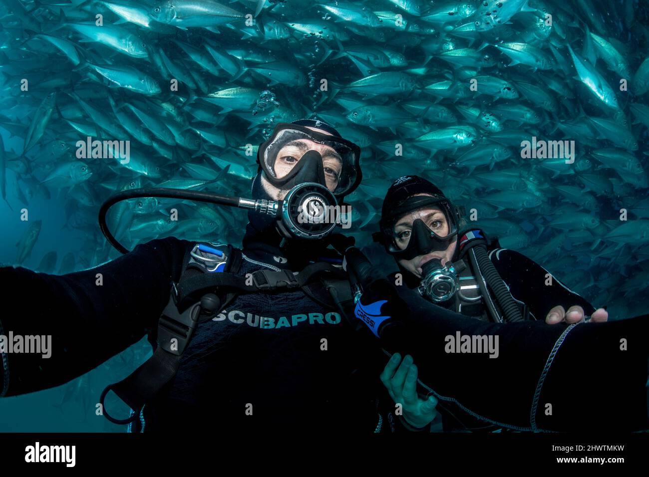 Zwei Taucher machen ein Selfie vor einer großen Ansammlung von Buschfischen in den Gewässern des Cabo Pulmo Marine National Park, wo die marine Biomasse anschwellt Stockfoto