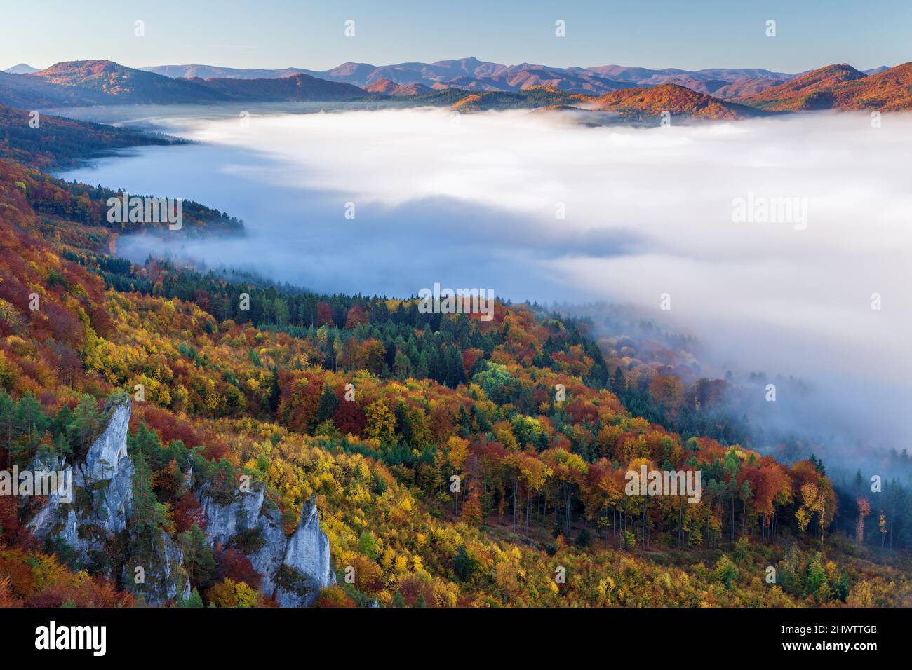 Farbenfrohe Wälder des Bergtals im Morgennebel im Herbst. Morgendliche Inversion im Sulov-Gebirge, Slowakei Europa. Stockfoto