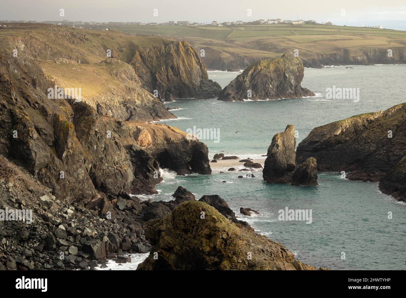 Blick auf Kynance Cove, in der Nähe von Lizard Point. Dieser Ort an der Südküste von Cornwall ist ein sehr wilder Ort mit dramatischen Landschaften zu sehen. Stockfoto