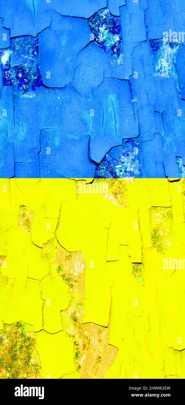 Flagge der Ukraine auf alter Grunge-Wand im Hintergrund, senkrechte Anordnung. Stockfoto
