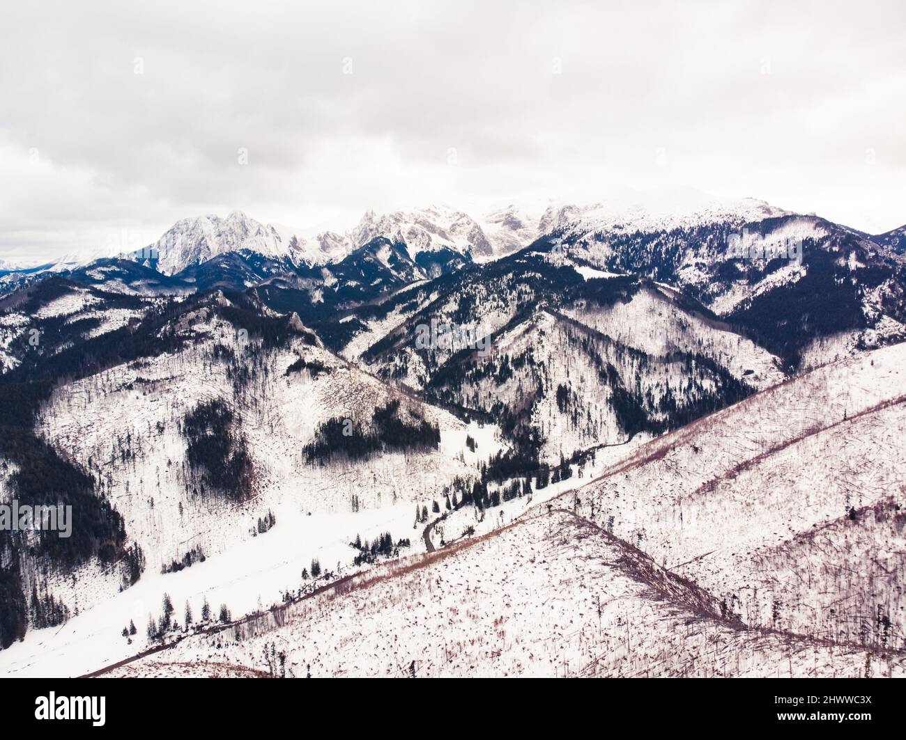 Majestätischer Blick auf die natürlich schöne Winterbergkulisse. Hochwertige Fotos Stockfoto