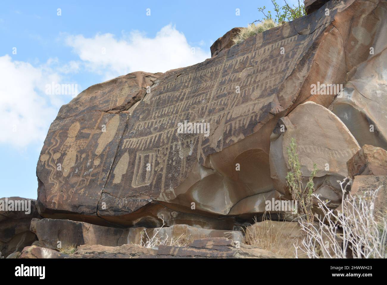 Mondkalender in Petroglyphen. Die Trächtigkeit Der Hirsche Stockfoto