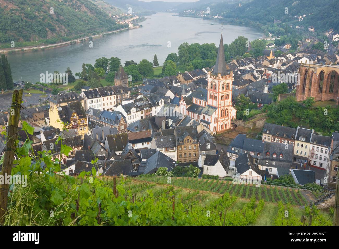Überblick über Bacharach und die umliegenden Weinberge, Rheinland-Pfalz, Deutschland Stockfoto Überblick über Bacharach und die umliegenden Weinberge, Rheinland-Pfalz, Deutschland Stockfoto