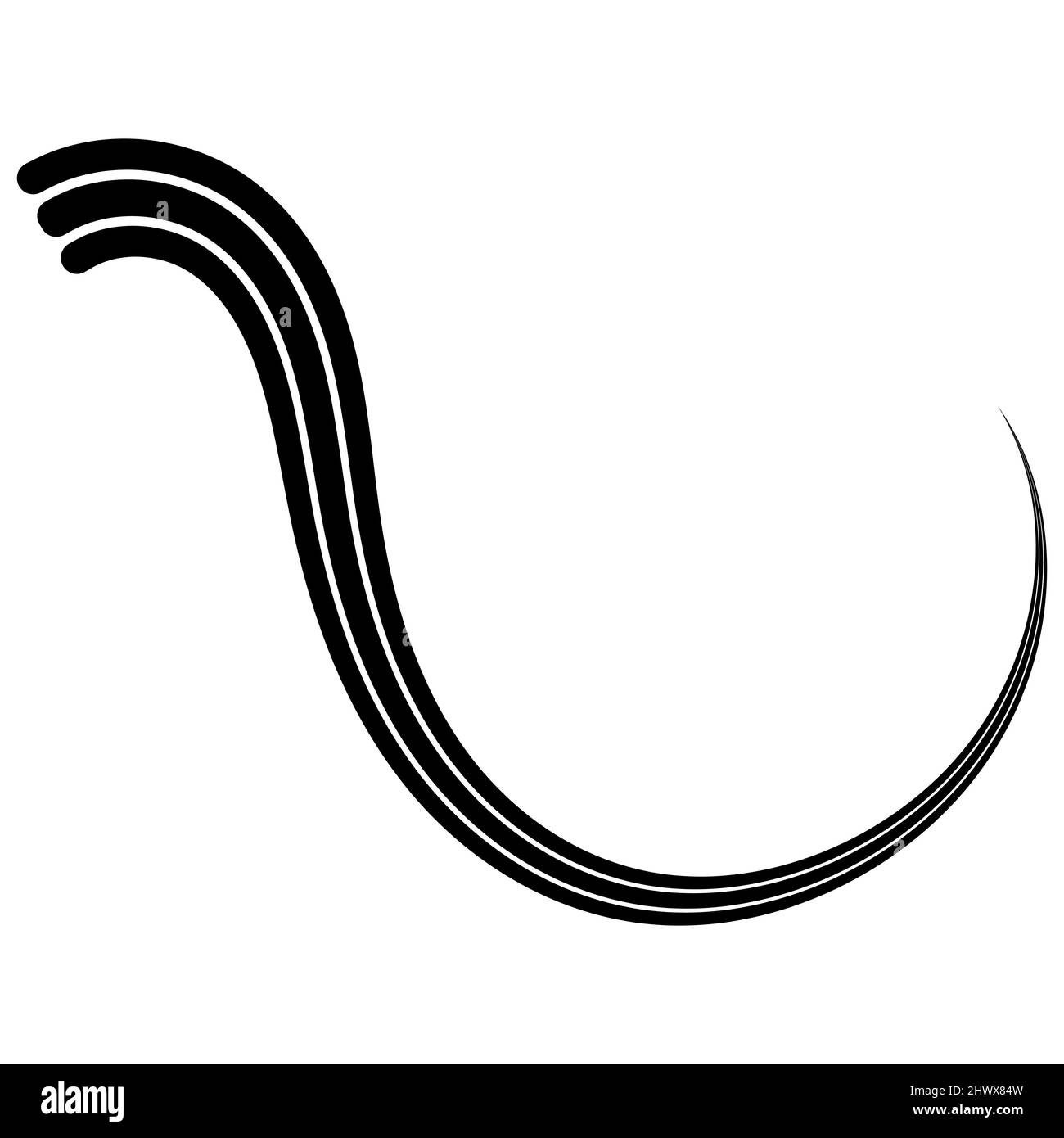 Gekrümmter kalligraphischer dreifacher Streifen, Vektor, Band, wie ein Reise-Kalligraphie-Element, anmutig geschwungene Linie Stock Vektor