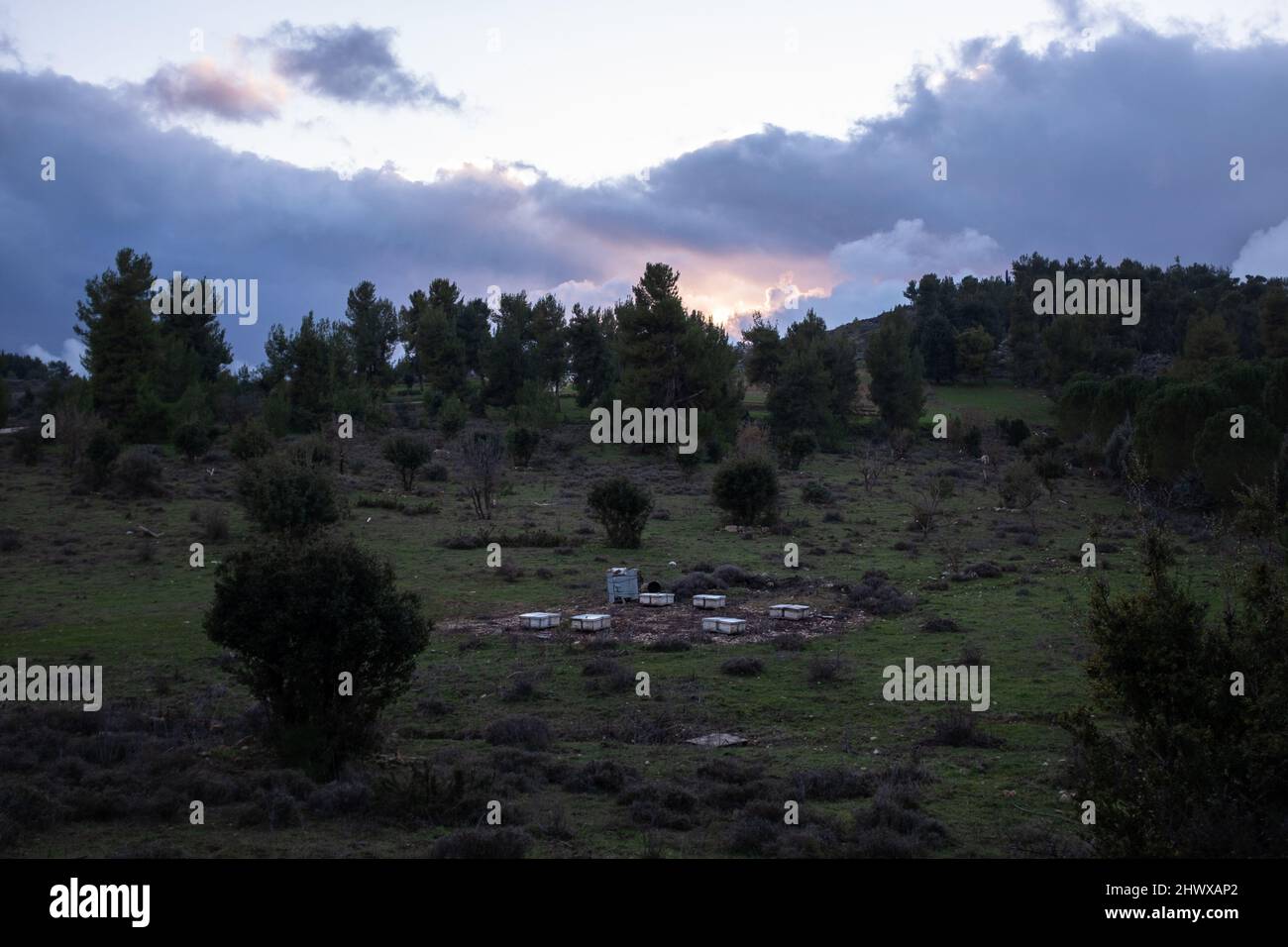 Natürliche Landschaft in ökologischen Dorf Stockfoto