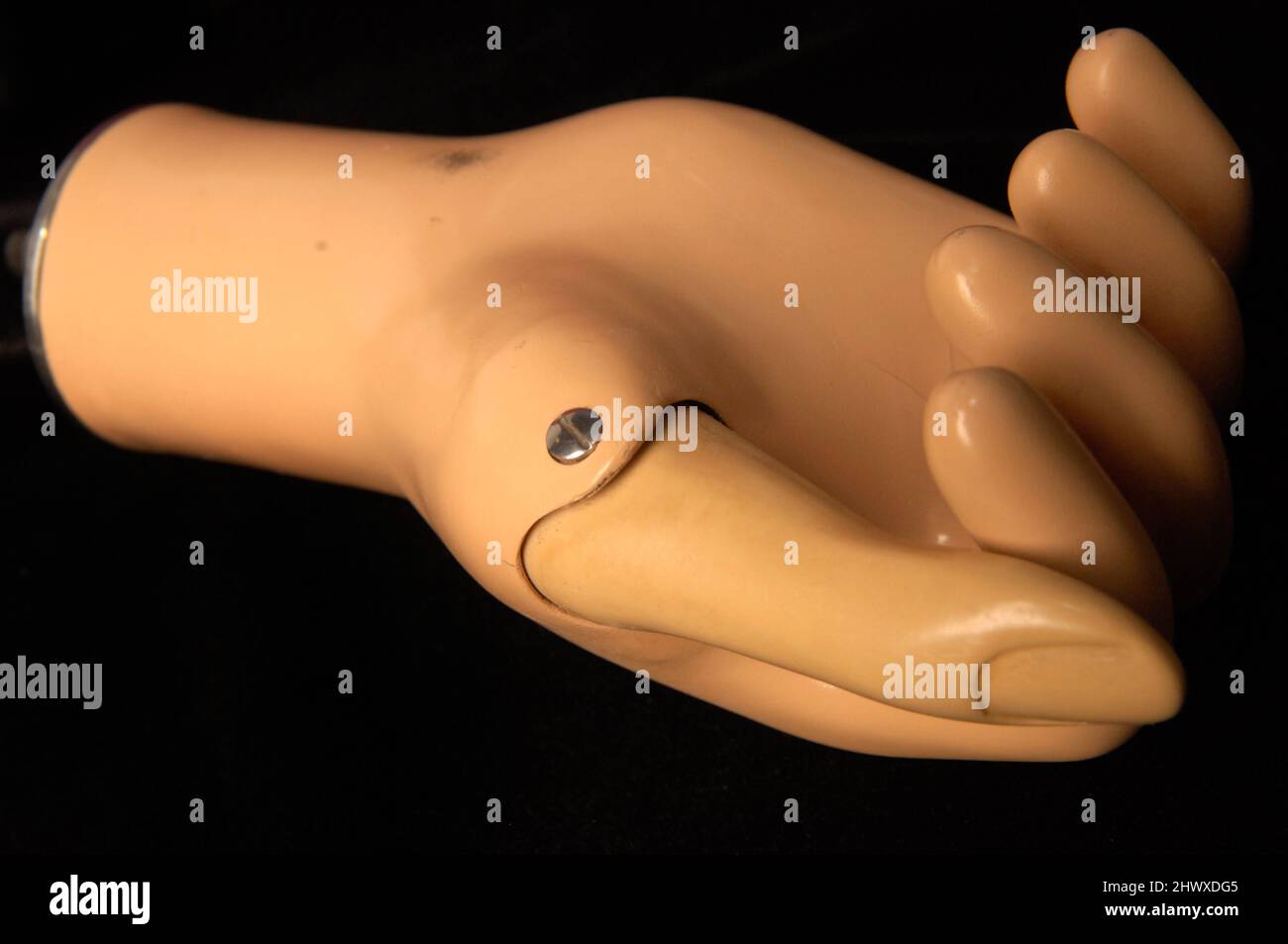 Prothetische Steeplon Hand entwickelt, um in Verbindung mit einem "Arbeits" Arm, der über herkömmliche Hosenträger, Riemenscheiben und Schnüre gesteuert wird arbeiten Stockfoto