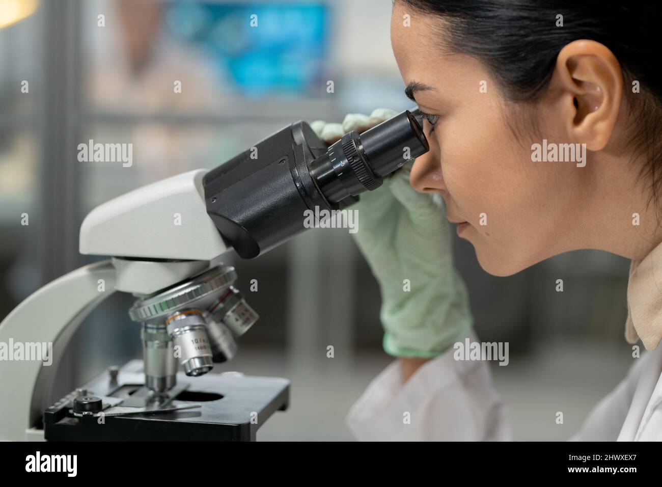 Junge Wissenschaftlerin in Schutzhandschuhen, die im Mikroskop schaut, während sie neue chemische Substanz und ihre Eigenschaften untersucht Stockfoto