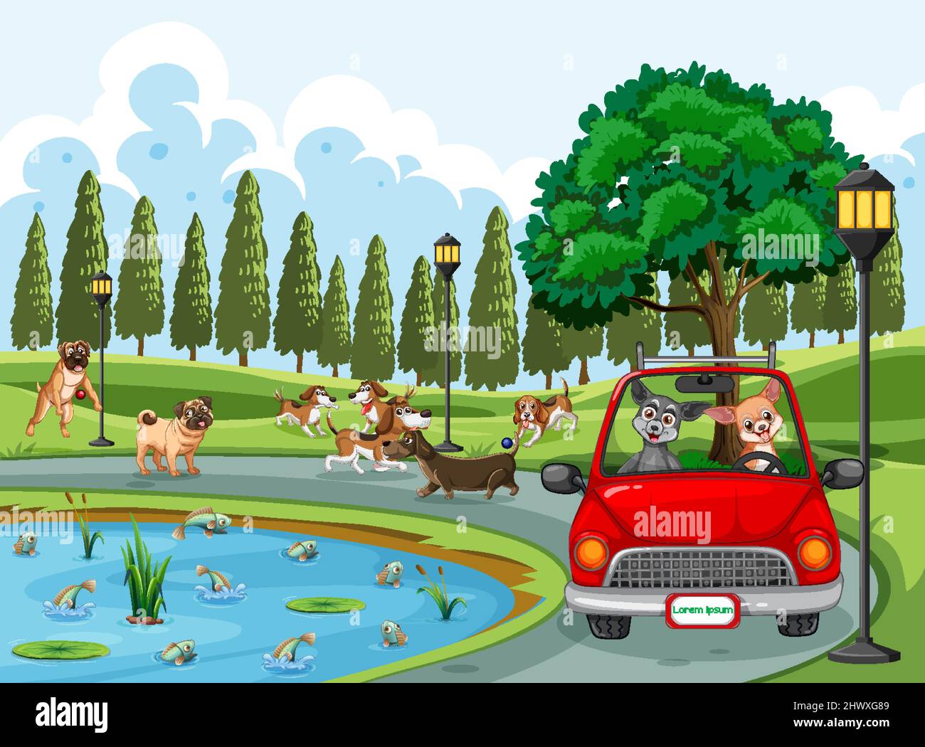Hund im teich kaufen Alamy