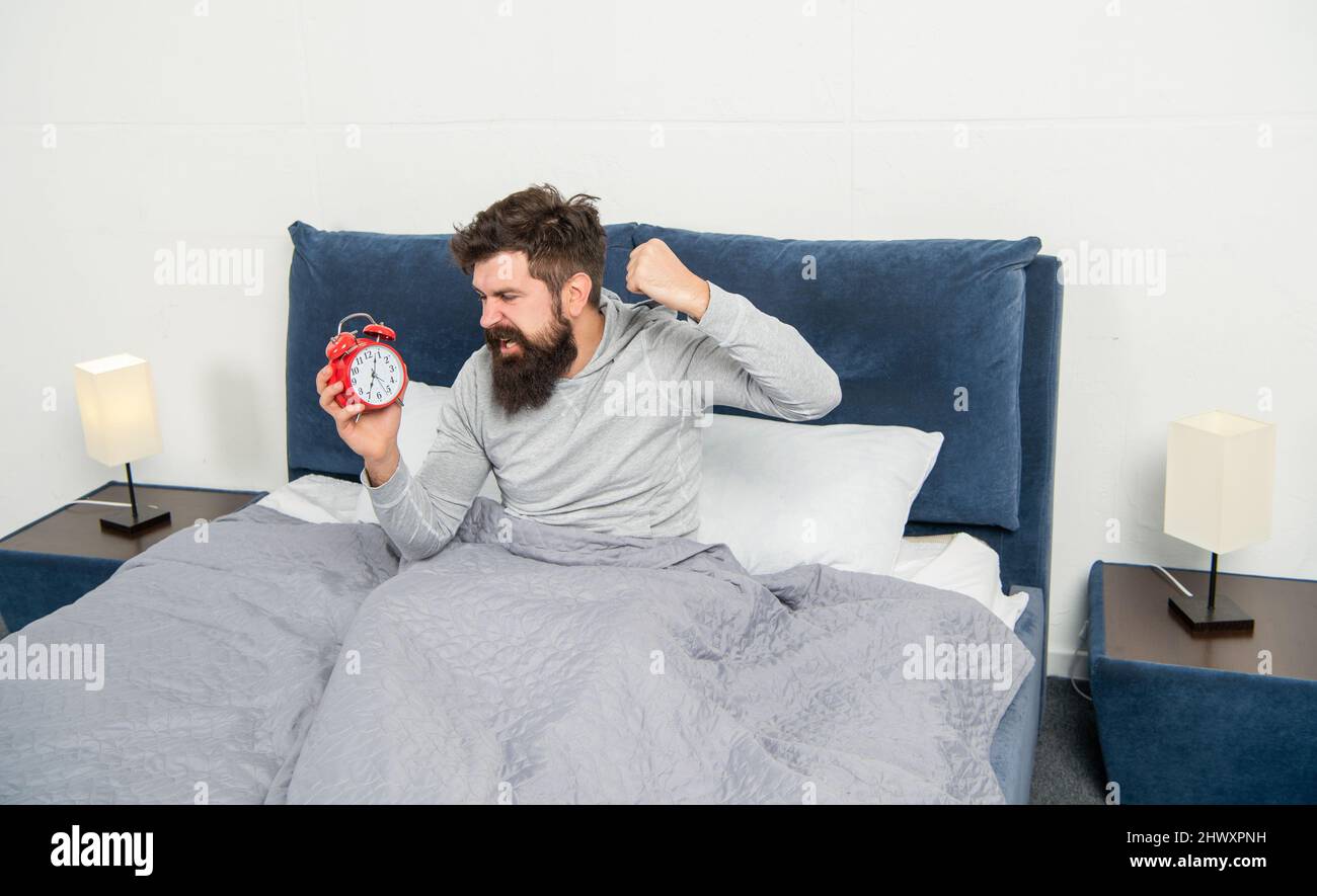 Ein wütender Typ, der den Wecker schlug, der morgens im Bett war und verschlafen hat Stockfoto