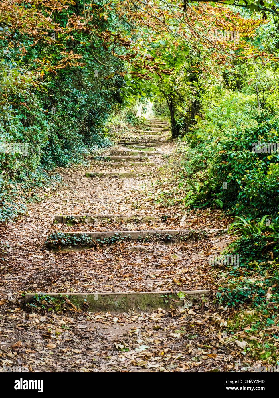 Teil des South West Coast Path in der Nähe von St. Mary's Bay, Brixham, Devon. Stockfoto