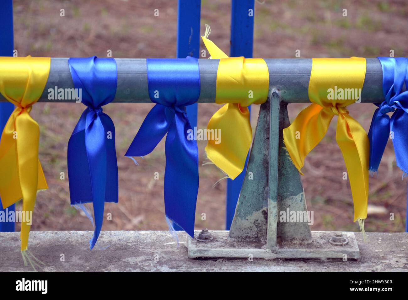Bänder in den Farben der ukrainischen Flagge, blau und gelb, an einer Stange gebunden, um gegen die russische Invasion und den Krieg in der Ukraine zu protestieren Stockfoto