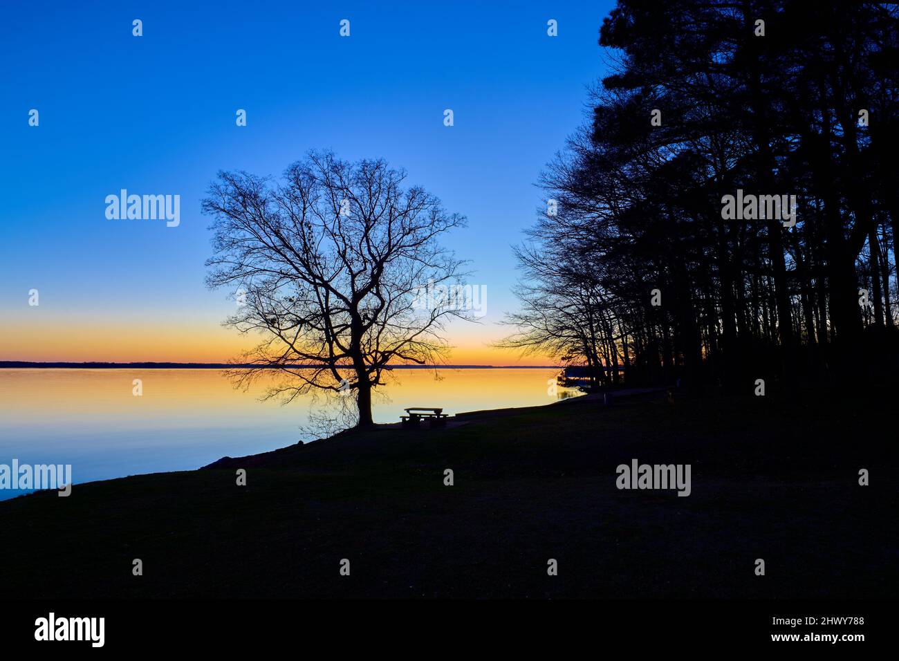 Silhouettierter Baum und Picknicktisch am Wheeler Lake in der Abenddämmerung. Stockfoto